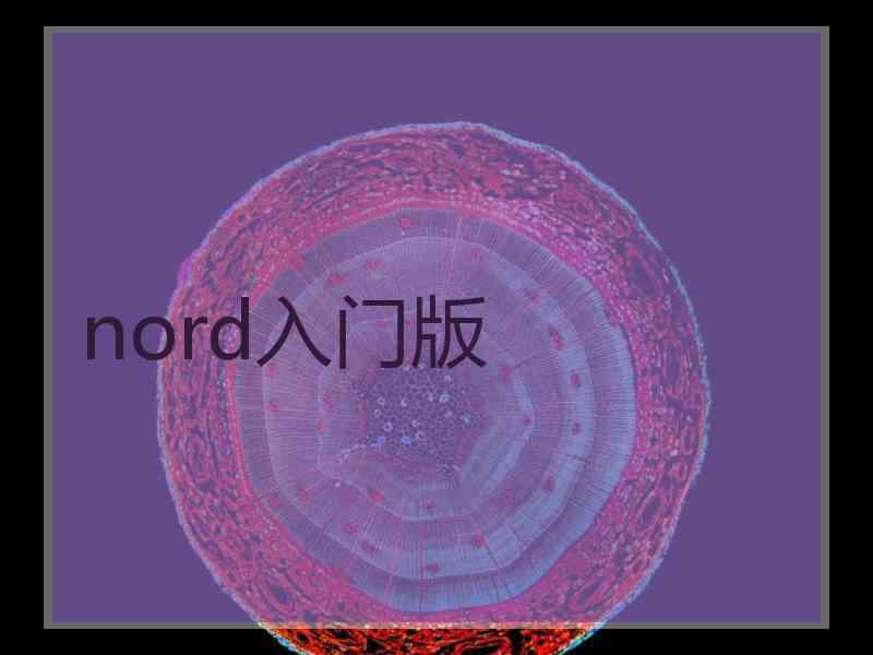 nord入门版