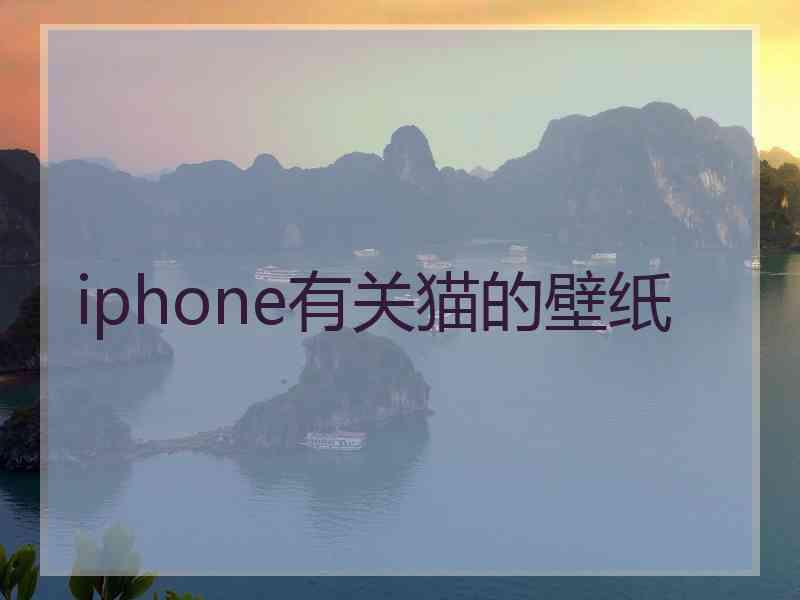 iphone有关猫的壁纸