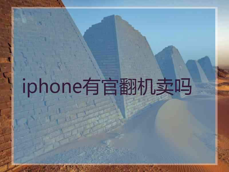 iphone有官翻机卖吗