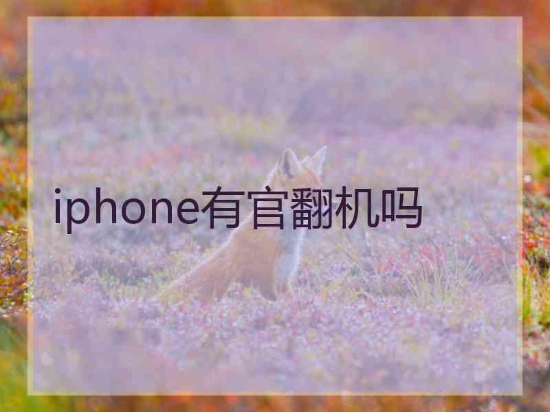 iphone有官翻机吗