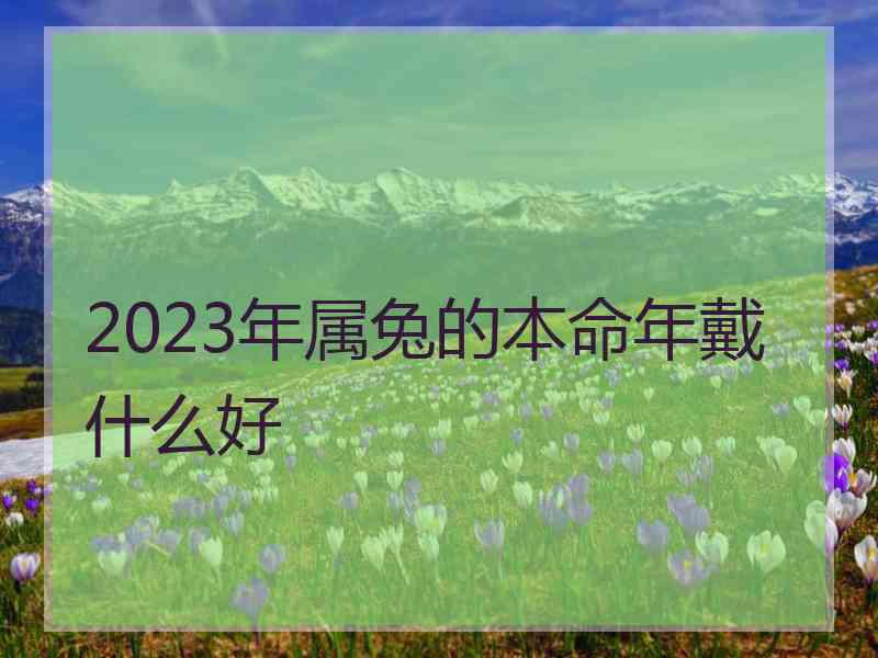 2023年属兔的本命年戴什么好