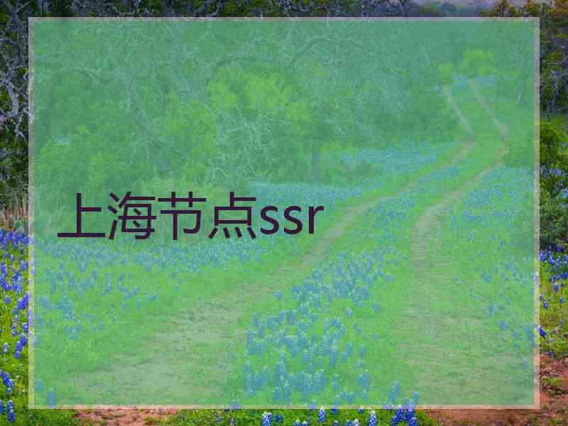 上海节点ssr