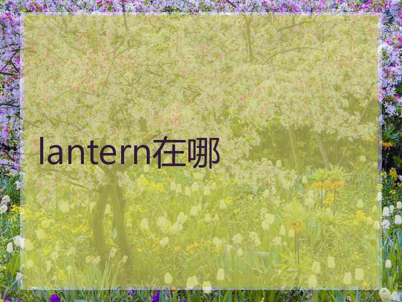 lantern在哪