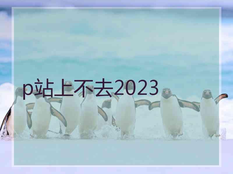 p站上不去2023