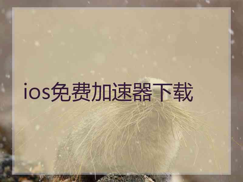 ios免费加速器下载