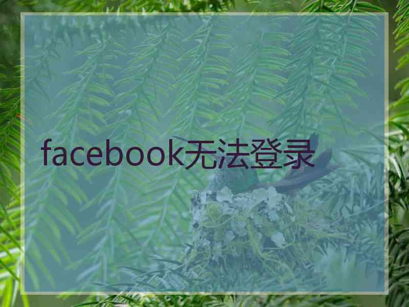 facebook无法登录